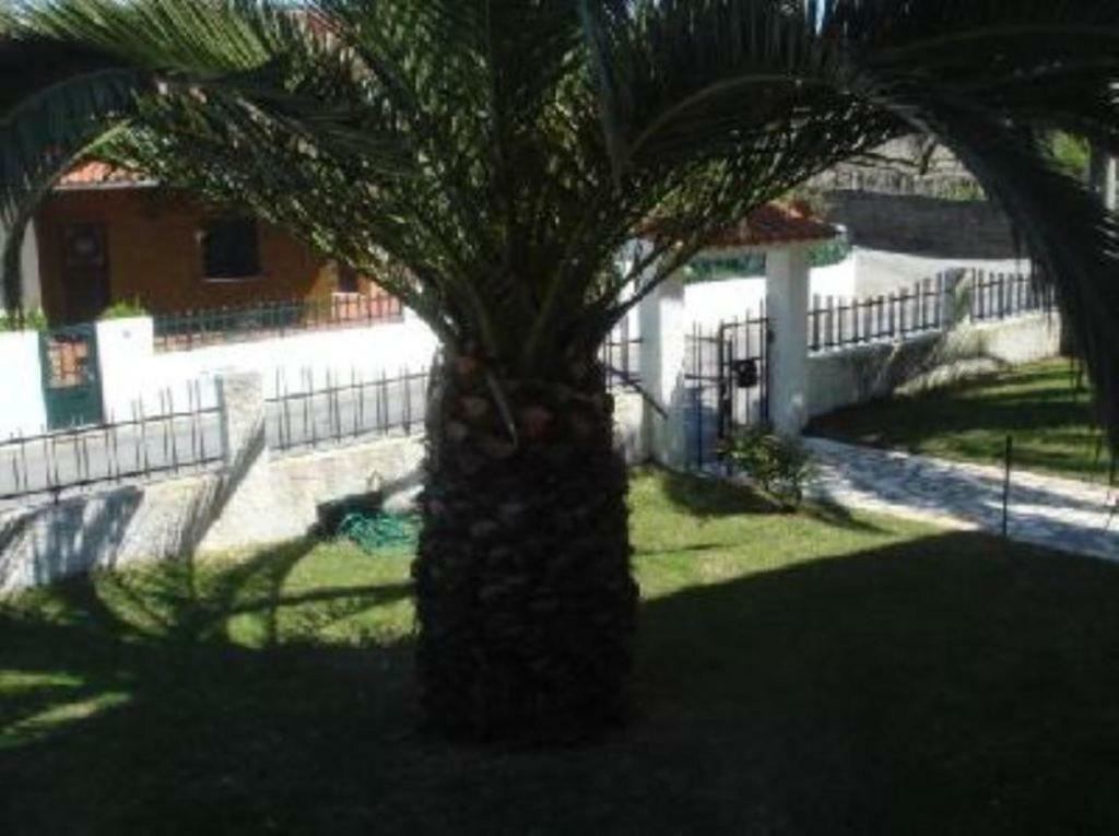 Vivenda Atlantico Vila Praia de Âncora Exterior foto